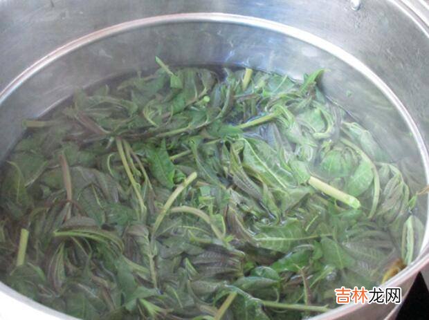 椿芽怎么炒