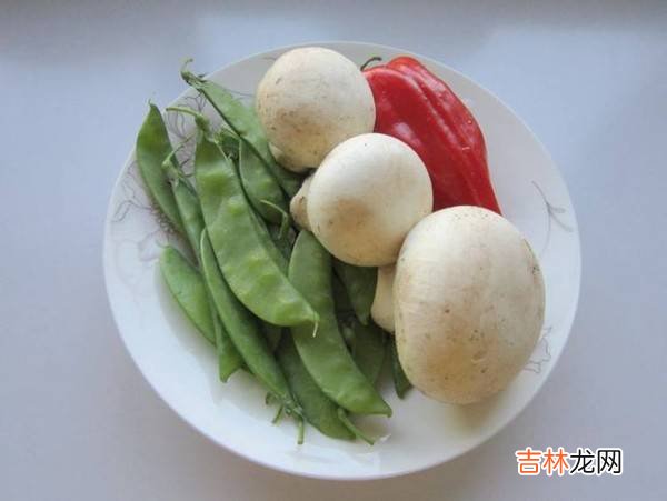 圆菇怎么炒