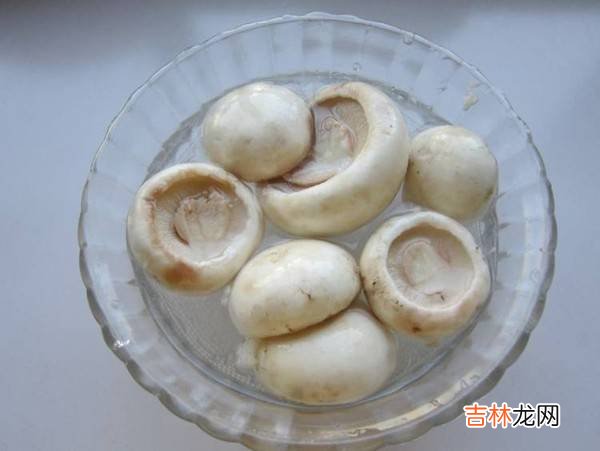 圆菇怎么炒