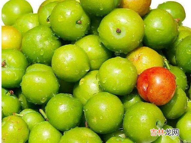 怎么腌制李子又脆又好吃