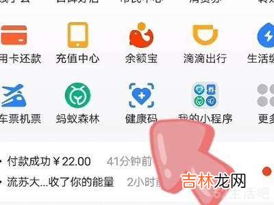 支付宝健康码打不开?