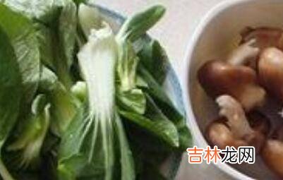 炒油菜怎么做