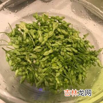 夜香花怎么做才好吃