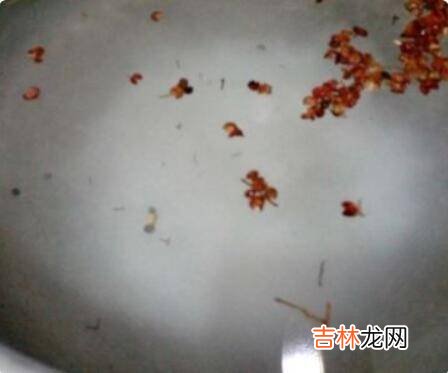 怎样用盐水制咸鸡蛋