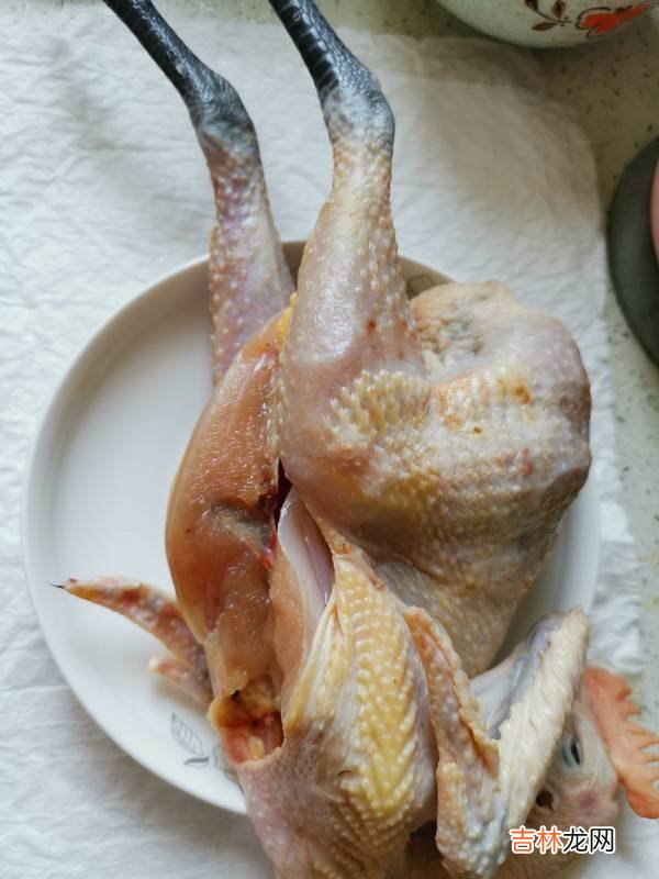 松菌炖鸡怎么做好吃