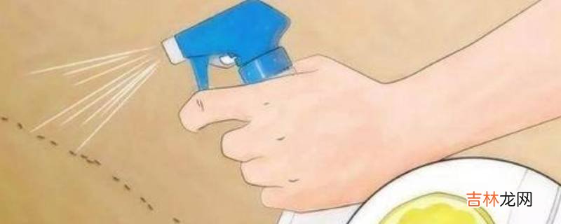 杀虫剂能杀死蚂蚁吗