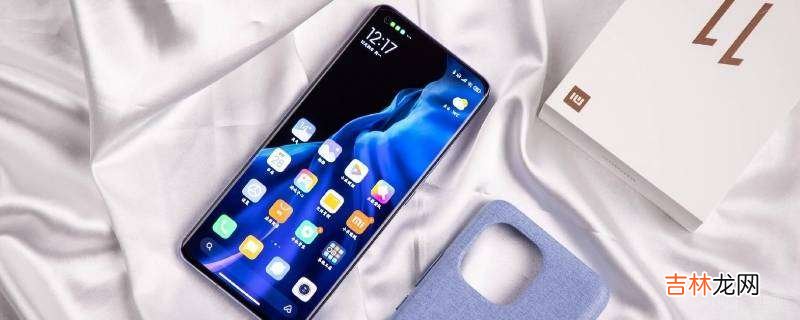 小米双击背部健康码?