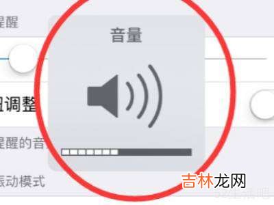 苹果媒体音量和铃声怎么分开?