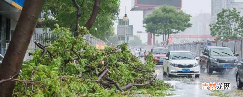 三级台风什么概念