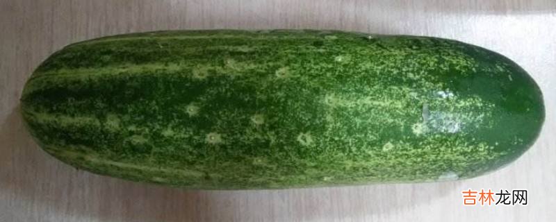菜瓜有几种