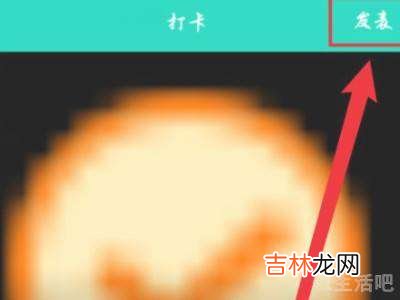 qq签到自定义没了?