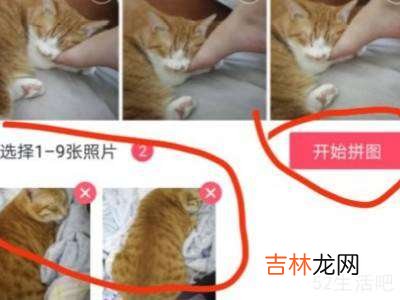 怎么把两张照片拼成一张照片?