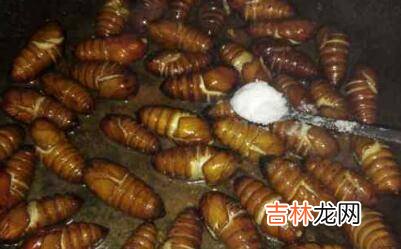 怎么炒蚕蛹好吃