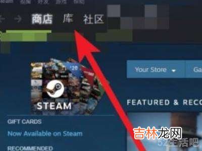 steam游戏启动不了?