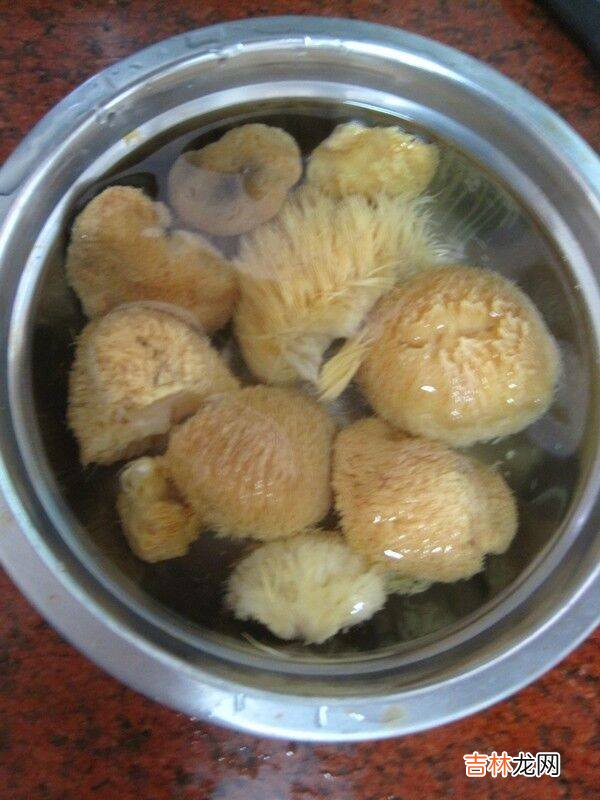 猴头菇吃法