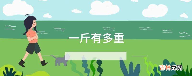 一斤有多重