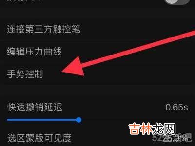 ipad画画怎么防手触碰?