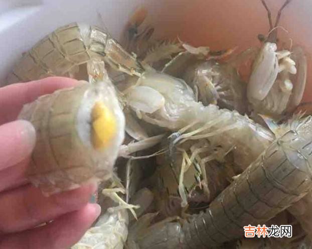 怎么炒皮皮虾