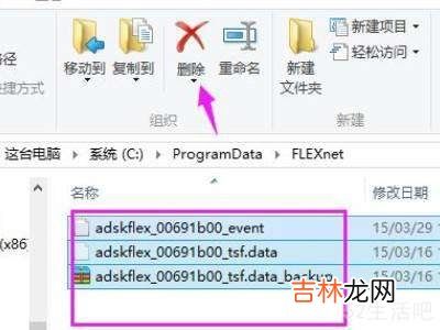 软件锁许可管理器 cad安全系统不起作用?