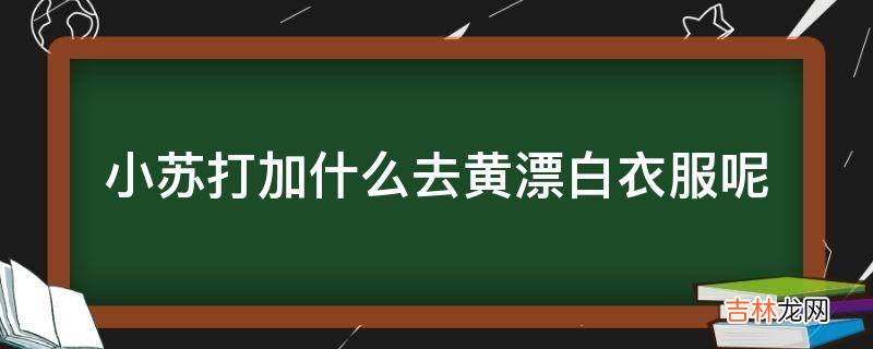 小苏打加什么去黄漂白衣服呢