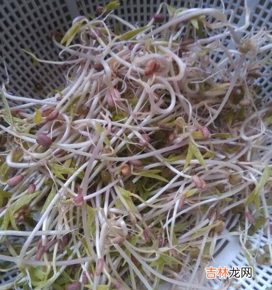 怎么炒豆芽菜