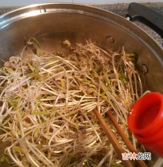 怎么炒豆芽菜