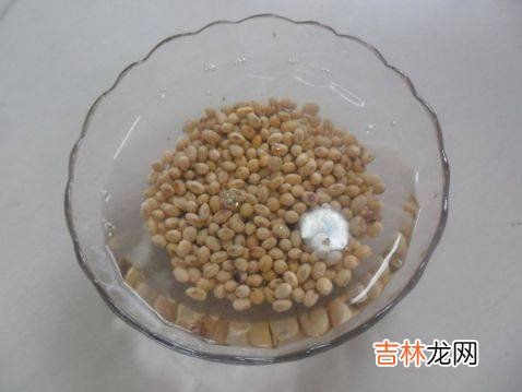 怎么炒豆子