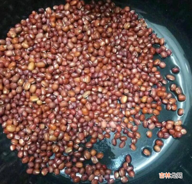 红豆高压锅煮多长时间