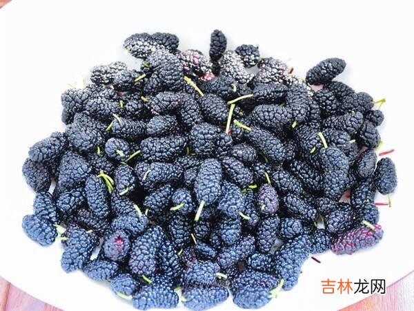 桑葚如何泡酒