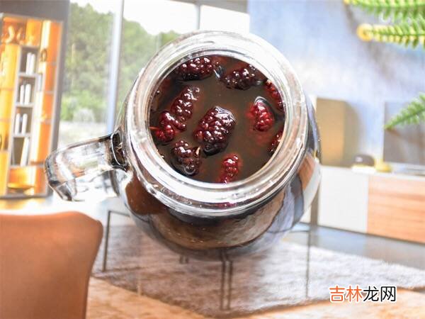 桑葚如何泡酒
