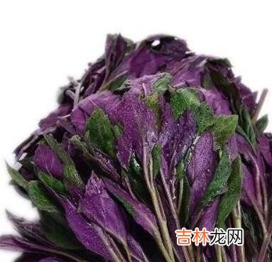 怎么炒血菜