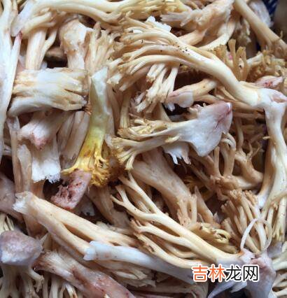 扫把菌怎么做好吃