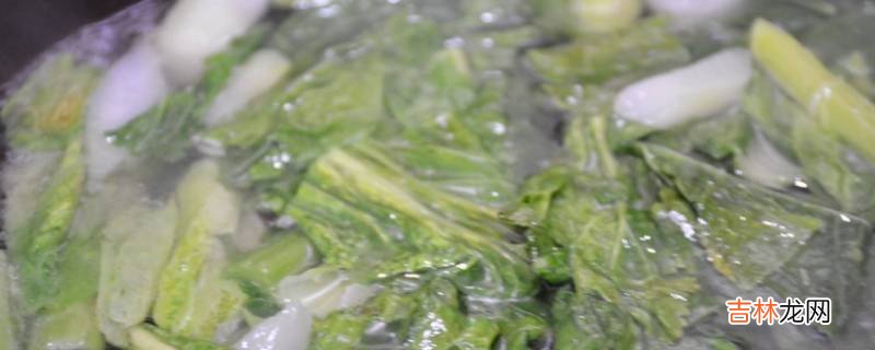 烧的菜有哪些家常菜