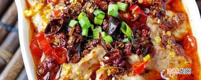 烧的菜有哪些家常菜