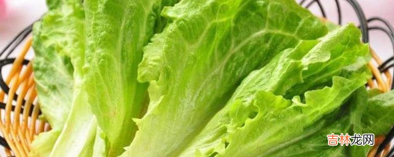 怎么炒生菜好吃