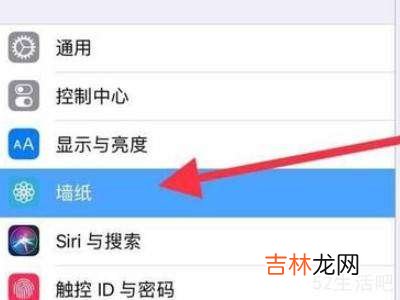 ipad设置壁纸?
