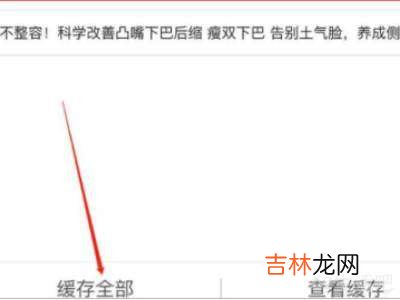 ios怎么导出b站缓存到相册?