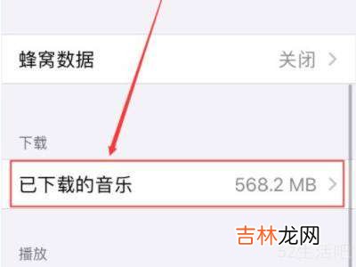 苹果下载的音乐在哪里可以看?