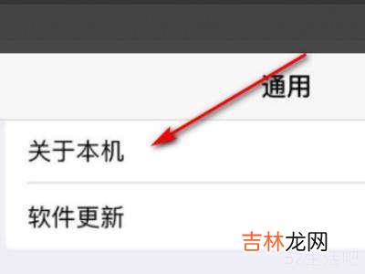 ipad怎么看芯片型号?
