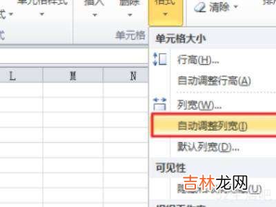 Excel单元格自动适应文字?