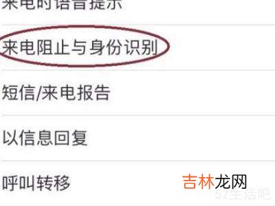 苹果手机没有来电阻止与身份识别?
