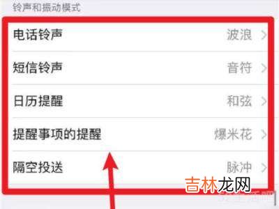 苹果媒体和通话可以分开调么?