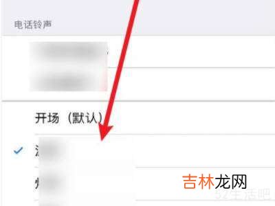 苹果媒体和通话可以分开调么?