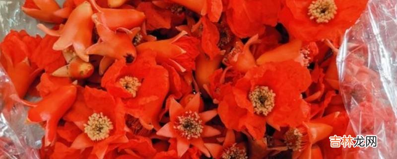 石榴花怎么炒好吃