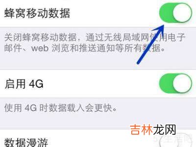 iphone蜂窝网络突然不能用?