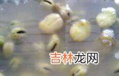 油炸兰花豆怎么做才酥脆简单