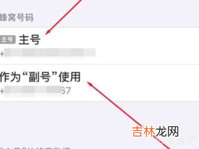 iphone怎么查看副号号码?