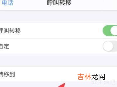 iphone呼叫转移怎么设置?