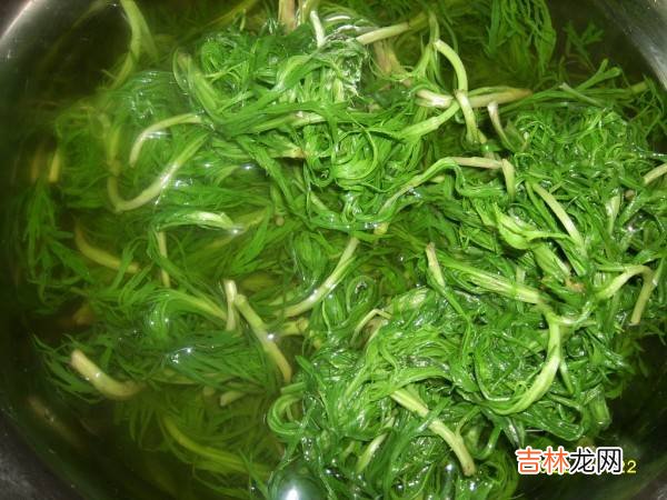 冷冻后柳蒿芽怎么做