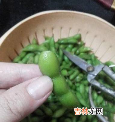 卤毛豆怎么做?